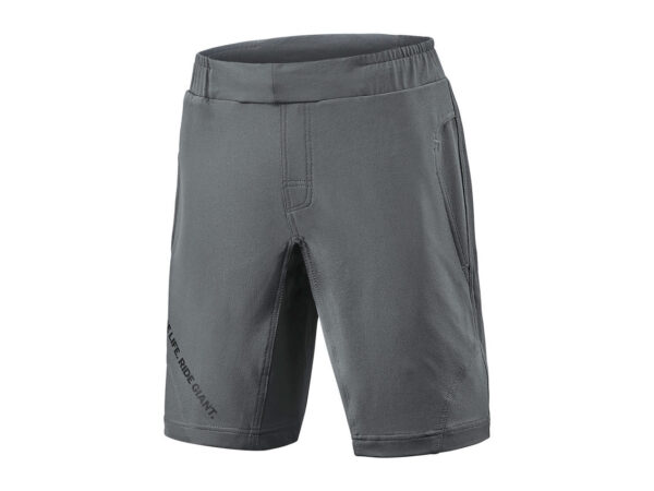 Giant CORE BAGGY SHORTS